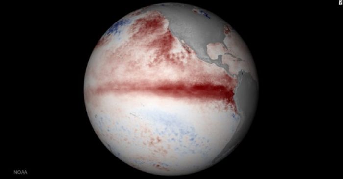Vùng màu đỏ trong hình chụp từ vệ tinh chỉ ra vùng nước biển nóng hơn bình thường trong đợt El Nino 2015-2016. (Nguồn: Internet)